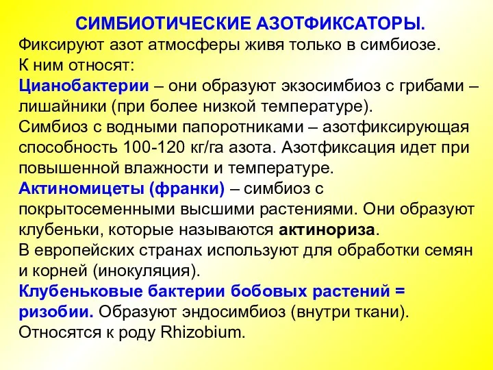 СИМБИОТИЧЕСКИЕ АЗОТФИКСАТОРЫ. Фиксируют азот атмосферы живя только в симбиозе. К ним относят: