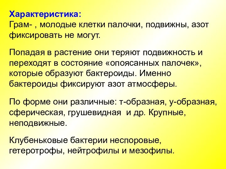 Характеристика: Грам- , молодые клетки палочки, подвижны, азот фиксировать не могут. Попадая