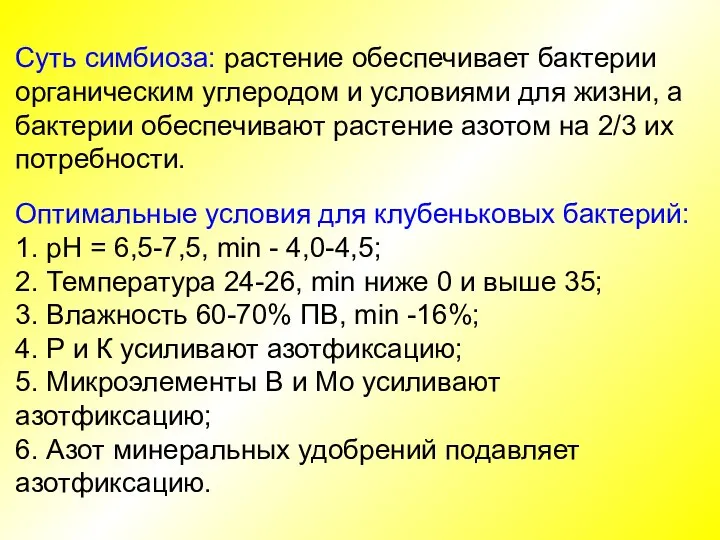 Суть симбиоза: растение обеспечивает бактерии органическим углеродом и условиями для жизни, а