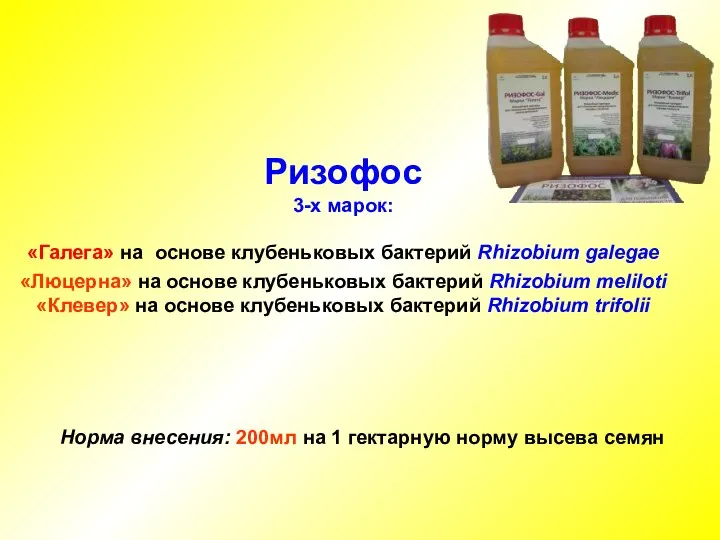 Ризофос 3-х марок: «Галега» на основе клубеньковых бактерий Rhizobium galegae «Люцерна» на