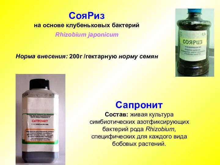 СояРиз на основе клубеньковых бактерий Rhizobium japonicum Норма внесения: 200г /гектарную норму