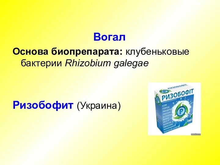 Вогал Основа биопрепарата: клубеньковые бактерии Rhizobium galegae Ризобофит (Украина)
