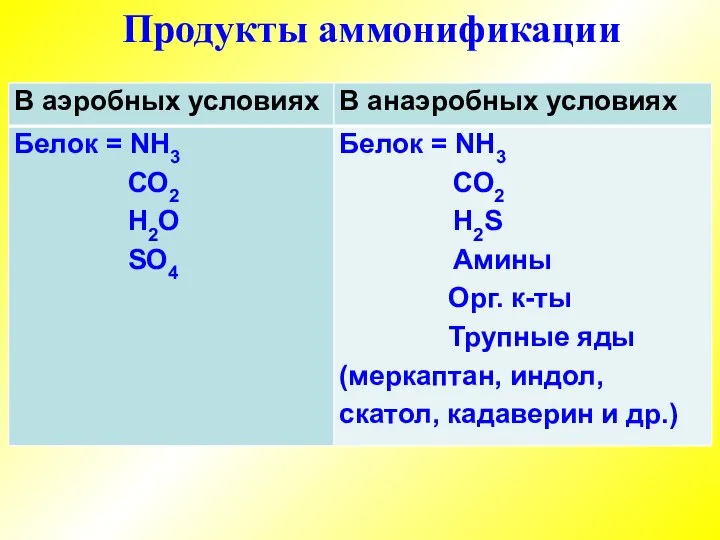 Продукты аммонификации