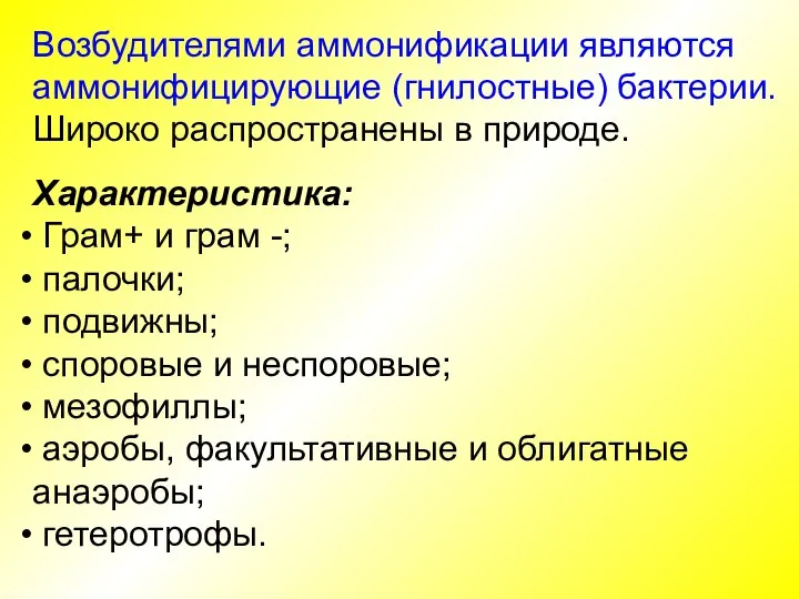 Возбудителями аммонификации являются аммонифицирующие (гнилостные) бактерии. Широко распространены в природе. Характеристика: Грам+