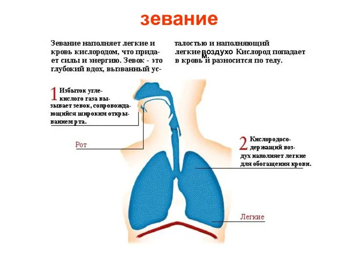 зевание воздухом.