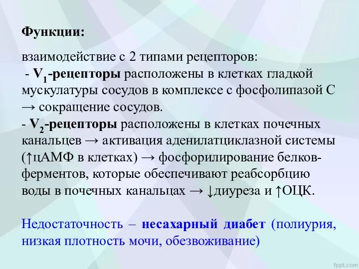 Функции: взаимодействие с 2 типами рецепторов: - V1-рецепторы расположены в клетках гладкой