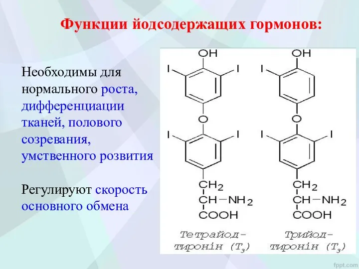 Функции йодсодержащих гормонов: Необходимы для нормального роста, дифференциации тканей, полового созревания, умственного