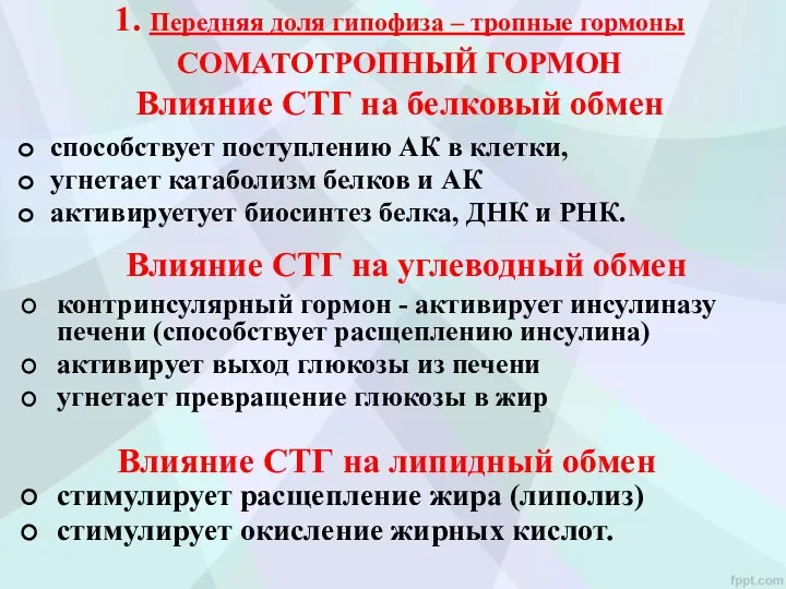 1. Передняя доля гипофиза – тропные гормоны СОМАТОТРОПНЫЙ ГОРМОН Влияние СТГ на