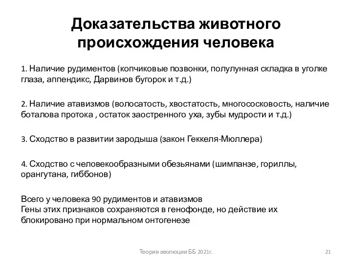 Доказательства животного происхождения человека 1. Наличие рудиментов (копчиковые позвонки, полулунная складка в