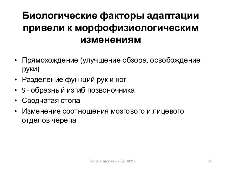 Биологические факторы адаптации привели к морфофизиологическим изменениям Прямохождение (улучшение обзора, освобождение руки)