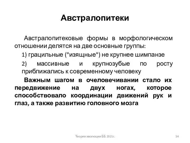 Австралопитеки Австралопитековые формы в морфологическом отношении делятся на две основные группы: 1)