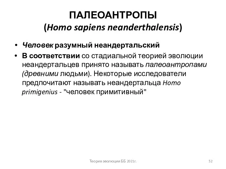 ПАЛЕОАНТРОПЫ (Homo sapiens neanderthalensis) Человек разумный неандертальский В соответствии со стадиальной теорией