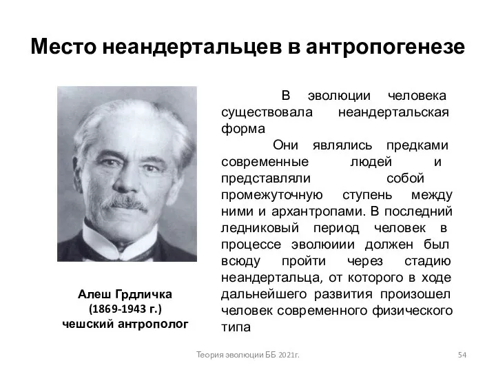 Место неандертальцев в антропогенезе В эволюции человека существовала неандертальская форма Они являлись