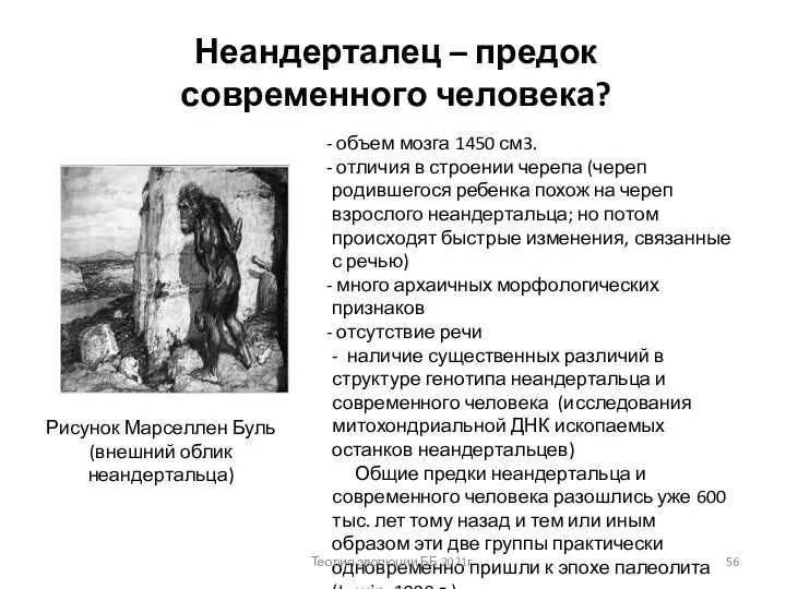 Неандерталец – предок современного человека? Рисунок Марселлен Буль (внешний облик неандертальца) объем