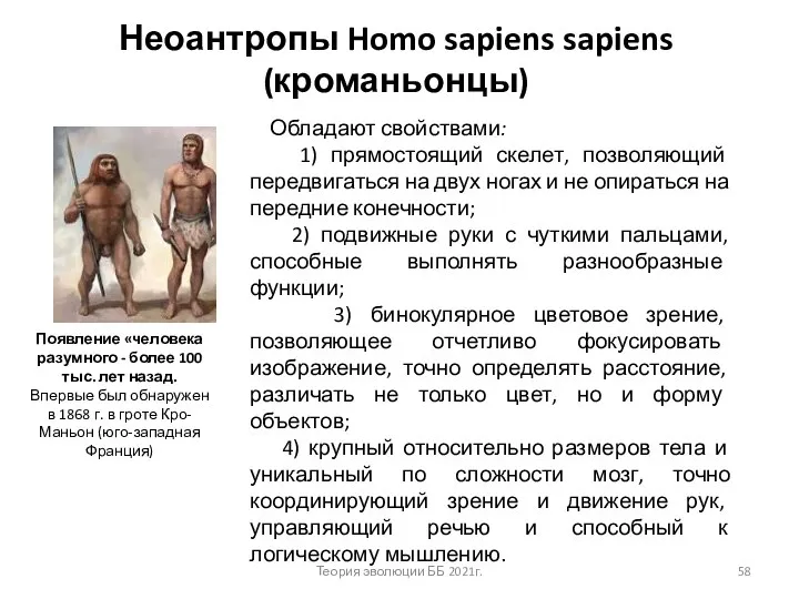 Неоантропы Homo sapiens sapiens (кроманьонцы) Появление «человека разумного - более 100 тыс.