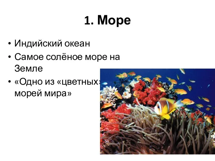 1. Море Индийский океан Самое солёное море на Земле «Одно из «цветных» морей мира»