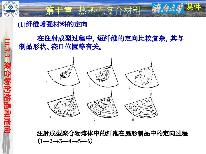 课件 第十章 热塑性复合材料 (1)纤维增强材料的定向 在注射成型过程中，短纤维的定向比较复杂，其与制品形状、浇口位置等有关。 注射成型聚合物熔体中的纤维在扇形制品中的定向过程（1→2→3→4→5→6） 10.3.3 聚合物的结晶和定向