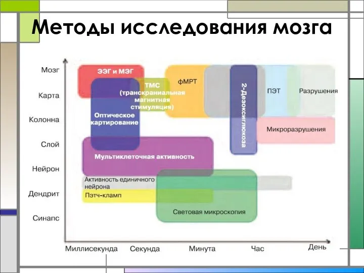 Методы исследования мозга