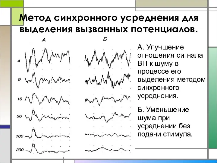 Метод синхронного усреднения для выделения вызванных потенциалов. А. Улучшение отношения сигнала ВП