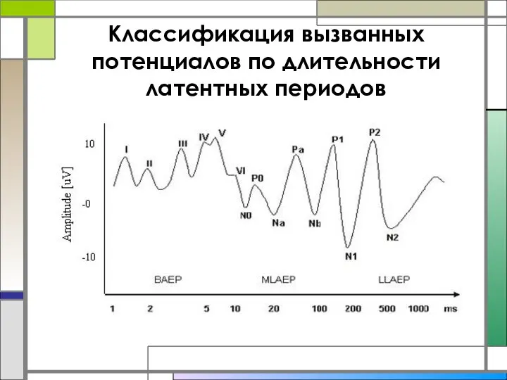 Классификация вызванных потенциалов по длительности латентных периодов