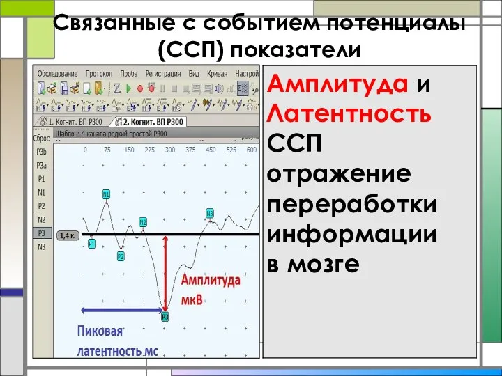 Связанные с событием потенциалы(ССП) показатели