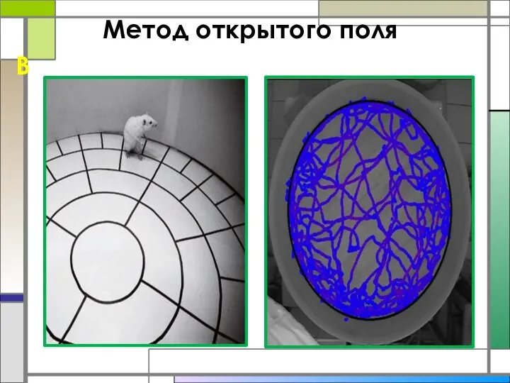 Метод открытого поля В