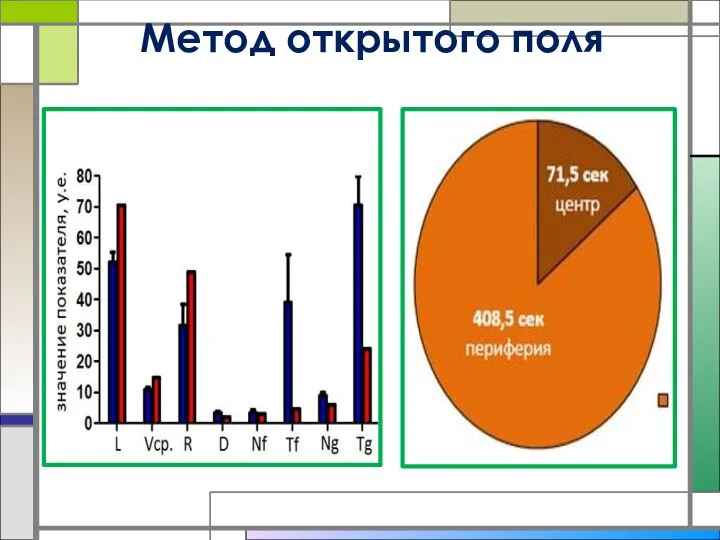 Метод открытого поля