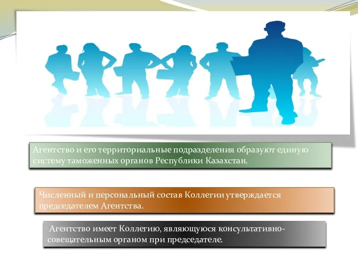 Агентство и его территориальные подразделения образуют единую систему таможенных органов Республики Казахстан.