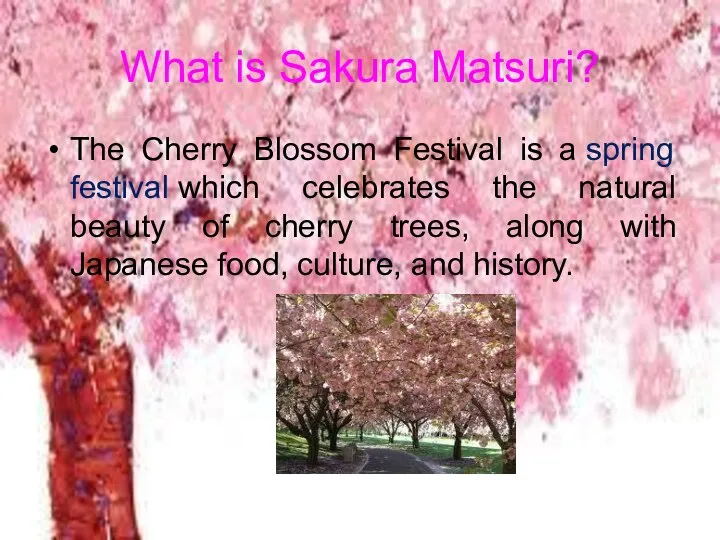 What is Sakura Matsuri? The Cherry Blossom Festival is a spring festival