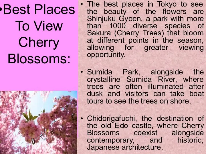 The best places in Tokyo to see the beauty of the flowers