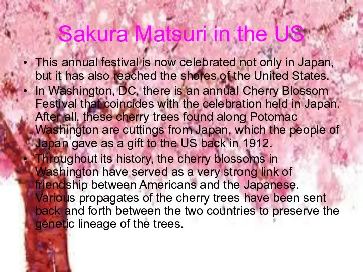 Sakura Matsuri in the US This annual festival is now celebrated not