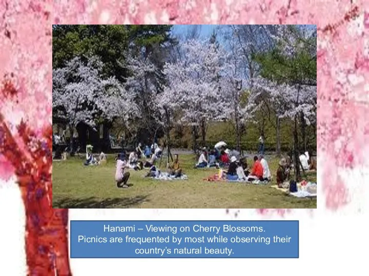 Hanami – Viewing on Cherry Blossoms. Picnics are frequented by most while