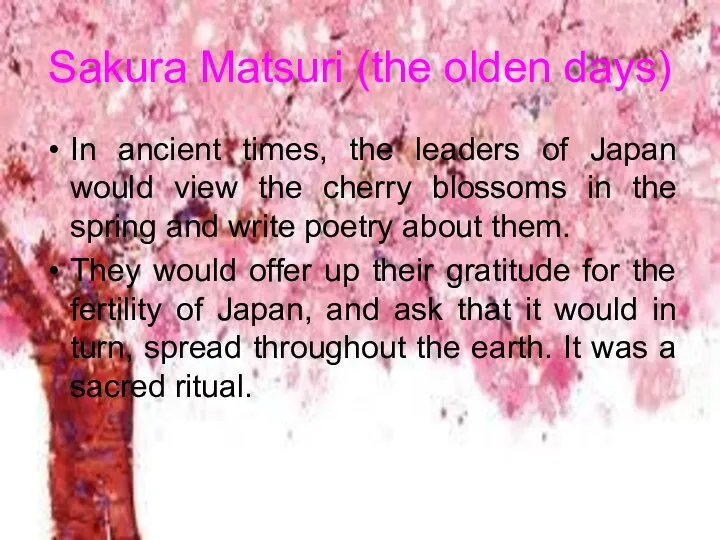 Sakura Matsuri (the olden days) In ancient times, the leaders of Japan