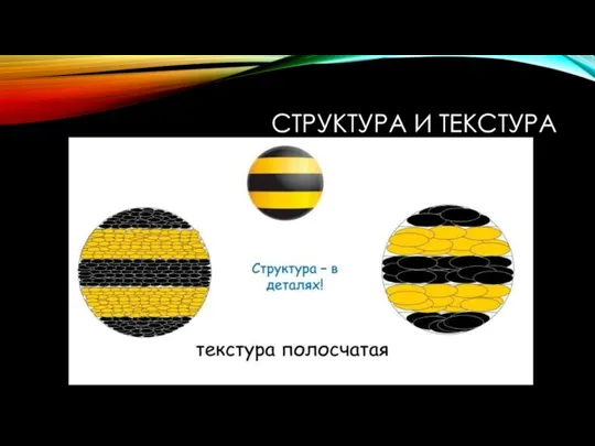 СТРУКТУРА И ТЕКСТУРА