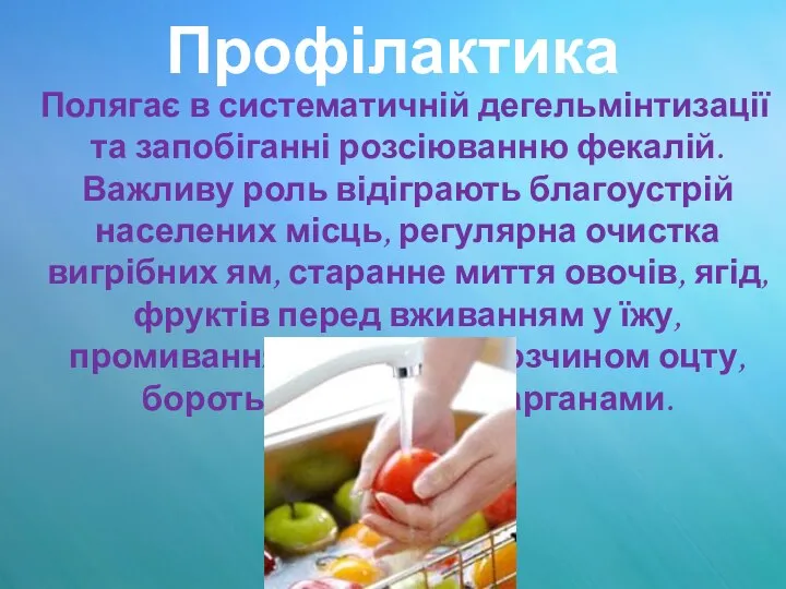 Профілактика Полягає в систематичній дегельмінтизації та запобіганні розсіюванню фекалій. Важливу роль відіграють