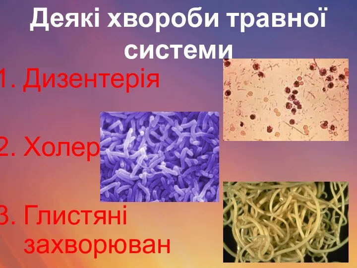 Деякі хвороби травної системи Дизентерія Холера Глистяні захворювання