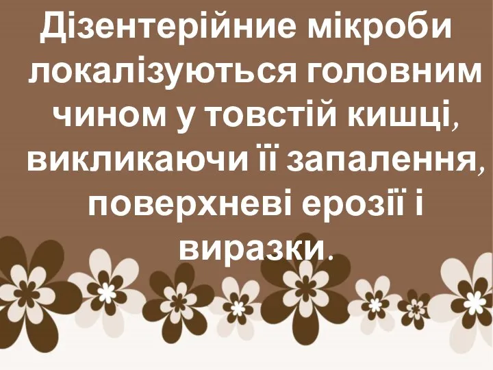 Дізентерійние мікроби локалізуються головним чином у товстій кишці, викликаючи її запалення, поверхневі ерозії і виразки.