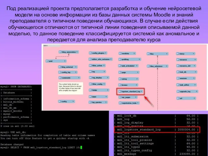 Под реализацией проекта предполагается разработка и обучение нейросетевой модели на основе информации