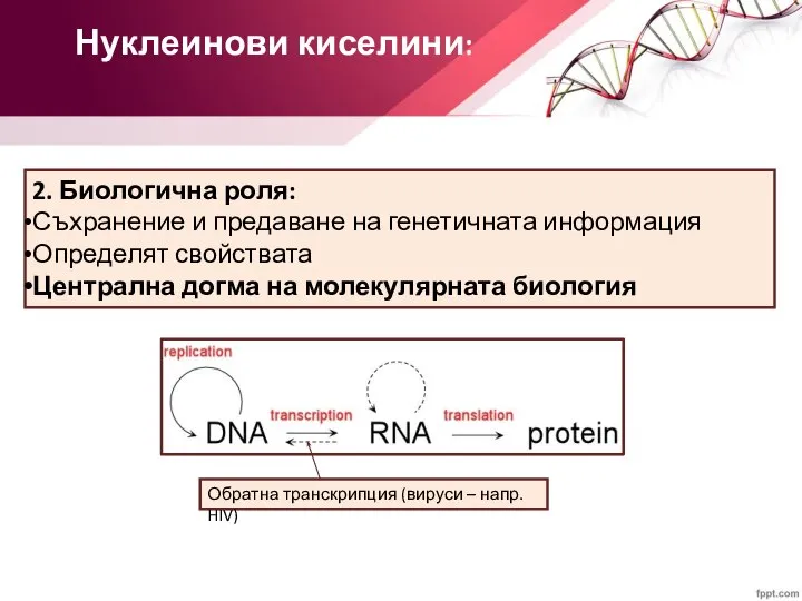 Нуклеинови киселини: 2. Биологична роля: Съхранение и предаване на генетичната информация Определят