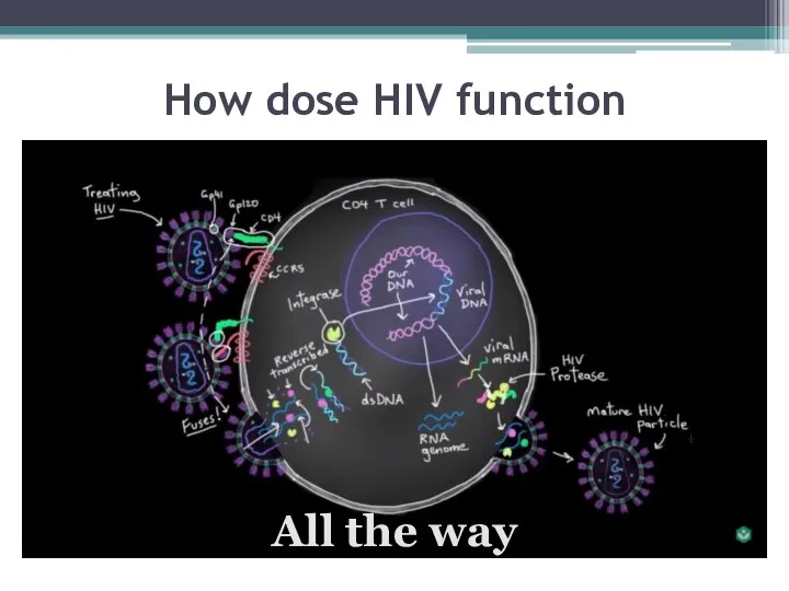 How dose HIV function Аll the way