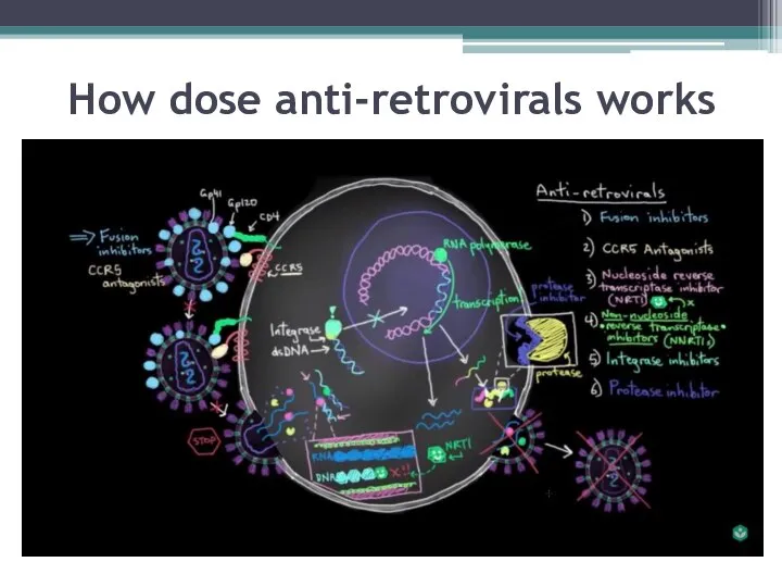 How dose anti-retrovirals works