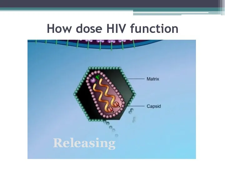 How dose HIV function Releasing