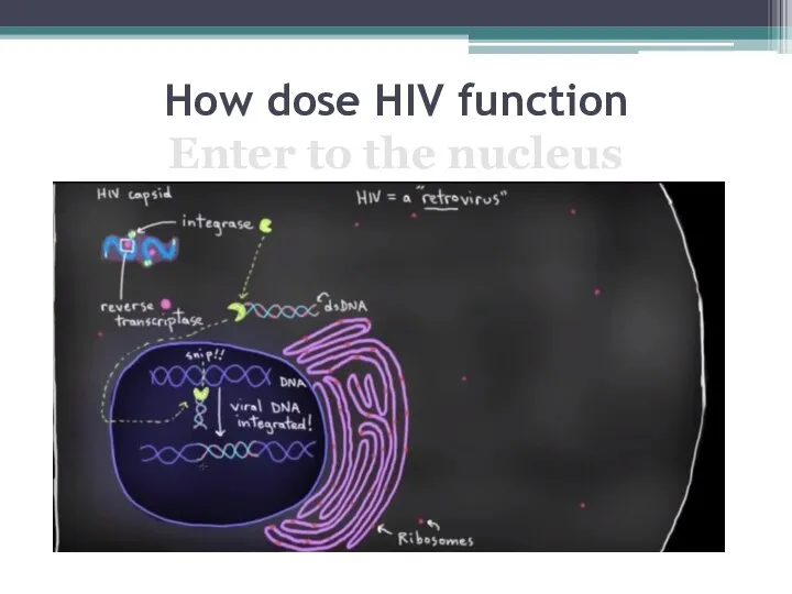 How dose HIV function Enter to the nucleus