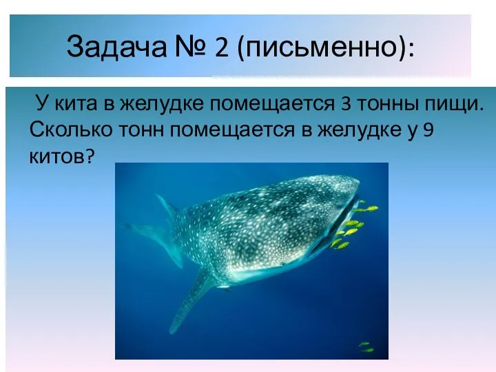 Задача № 2 (письменно): У кита в желудке помещается 3 тонны пищи.