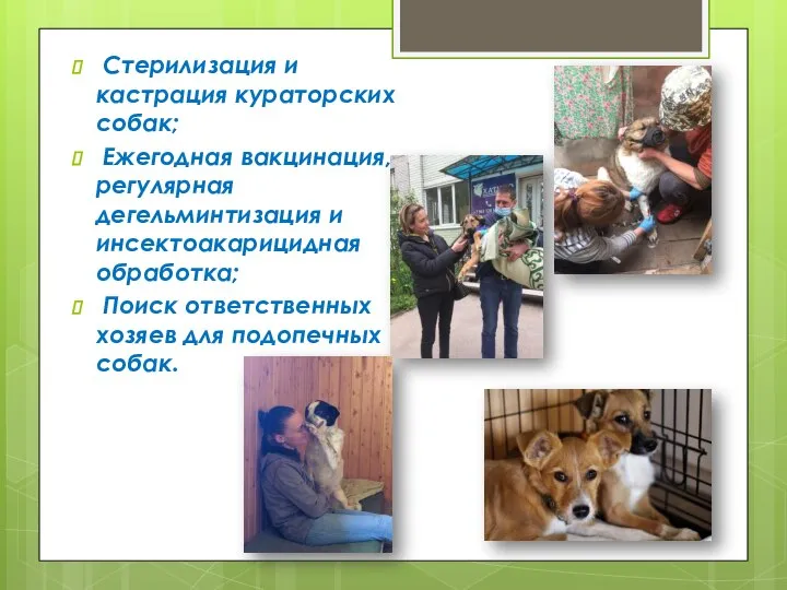 Стерилизация и кастрация кураторских собак; Ежегодная вакцинация, регулярная дегельминтизация и инсектоакарицидная обработка;