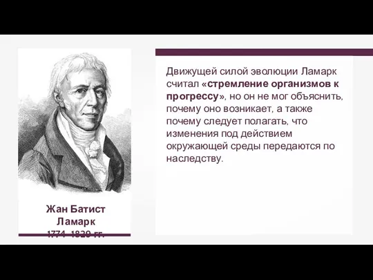 Жан Батист Ламарк 1774–1829 гг. Движущей силой эволюции Ламарк считал «стремление организмов