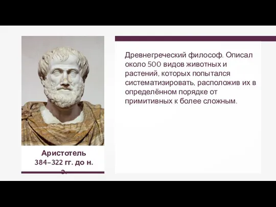 Аристотель 384–322 гг. до н.э. Древнегреческий философ. Описал около 500 видов животных
