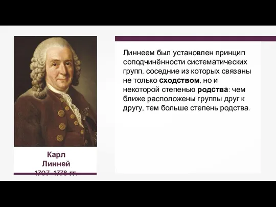 Карл Линней 1707–1778 гг. Линнеем был установлен принцип соподчинённости систематических групп, соседние