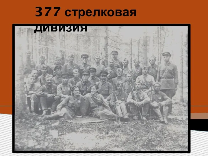 377 стрелковая дивизия