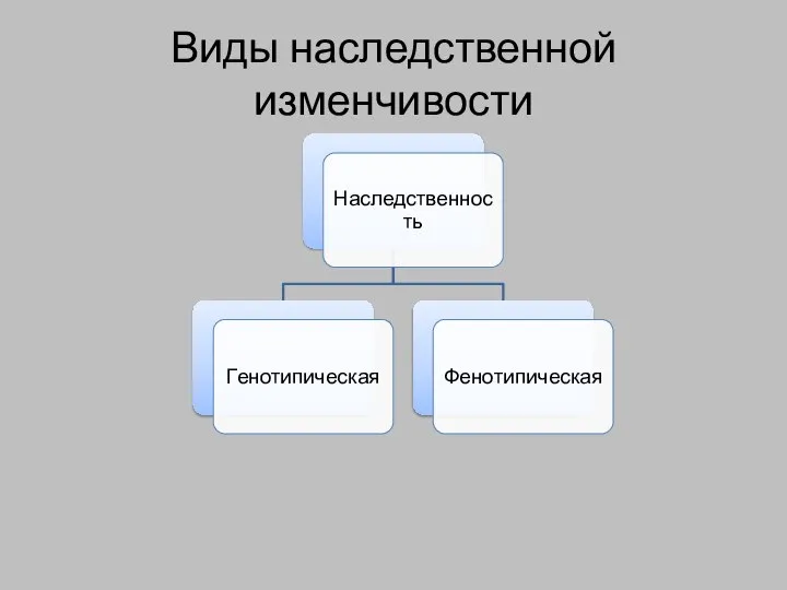 Виды наследственной изменчивости